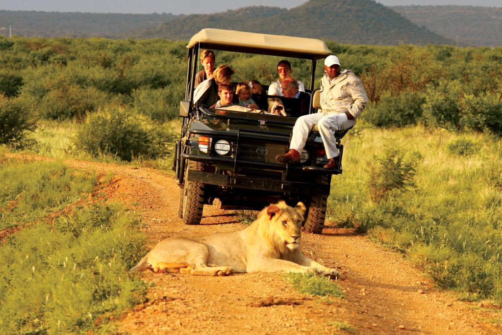 Madikwe Hills