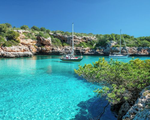 Cove