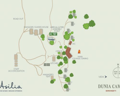 Dunia-Camp-Layout_800x600