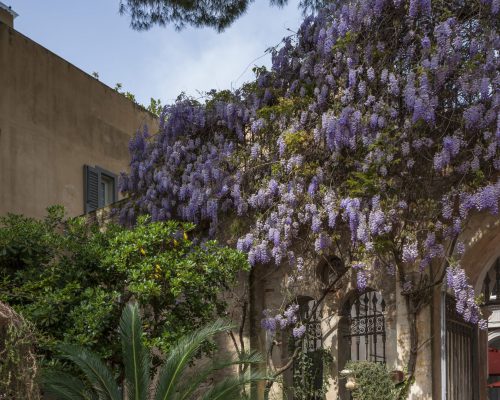 courtyard